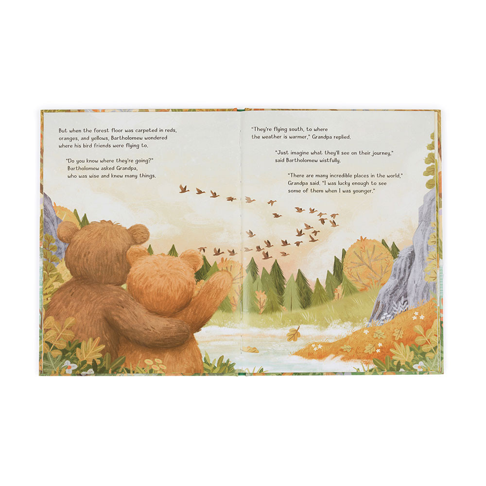 It's a Big World Bartholomew Book & Bartholomew Bear Medium - 图片 4