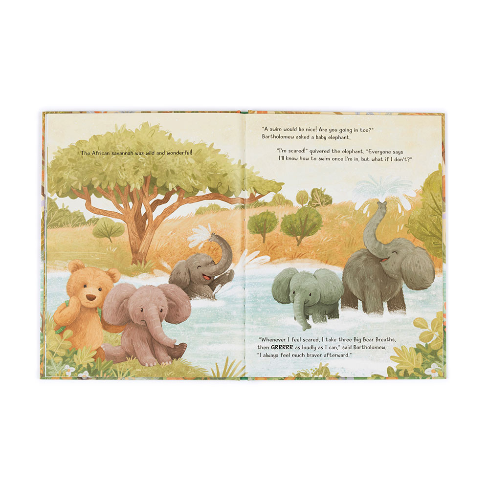 It's a Big World Bartholomew Book & Bartholomew Bear Medium - 图片 3