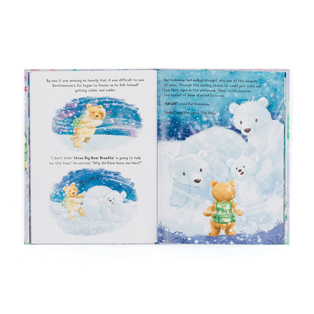 Bartholomew Bear and the Snow Giants Book and Bartholomew Bear Medium - 图片 4