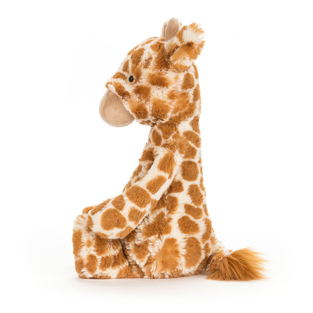 Bashful Giraffe - 图片 5