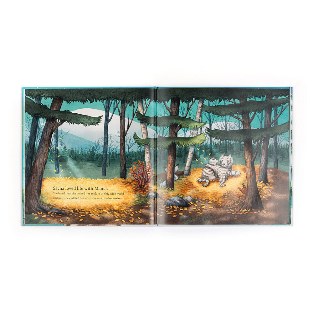 Sacha and the Most Wonderful Thing Book - 图片 2